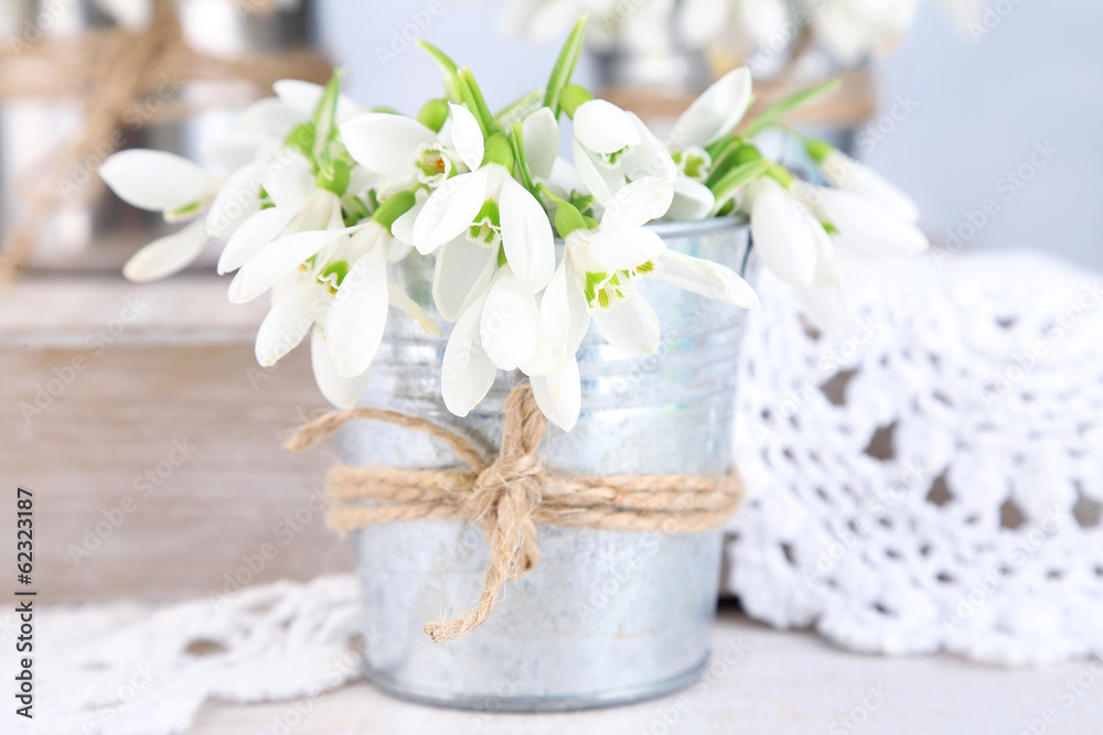 Beautiful snowdrops on light background