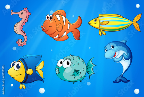 Colorful sea creatures