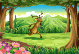 A jungle with a deer running