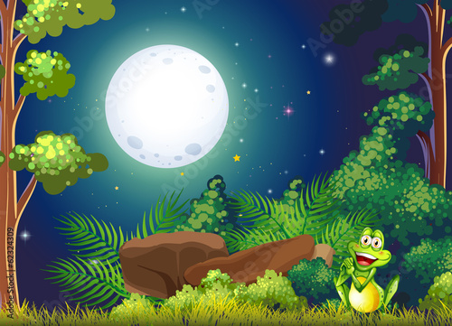 A forest with a smiling frog near the rock