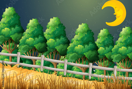 A forest with a sleeping moon