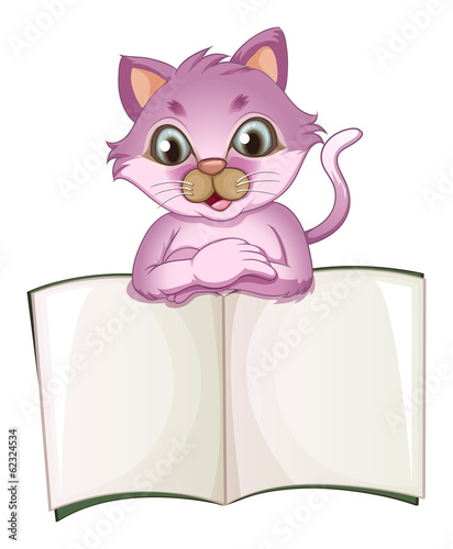 A cat and an empty template