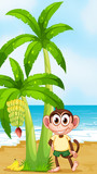 A smiling monkey at the beach near the banana plant