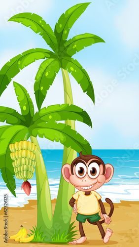 A smiling monkey at the beach near the banana plant