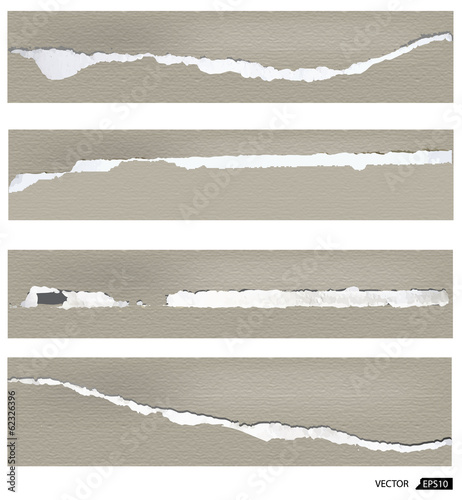 Collection of torn papers on white background, vector