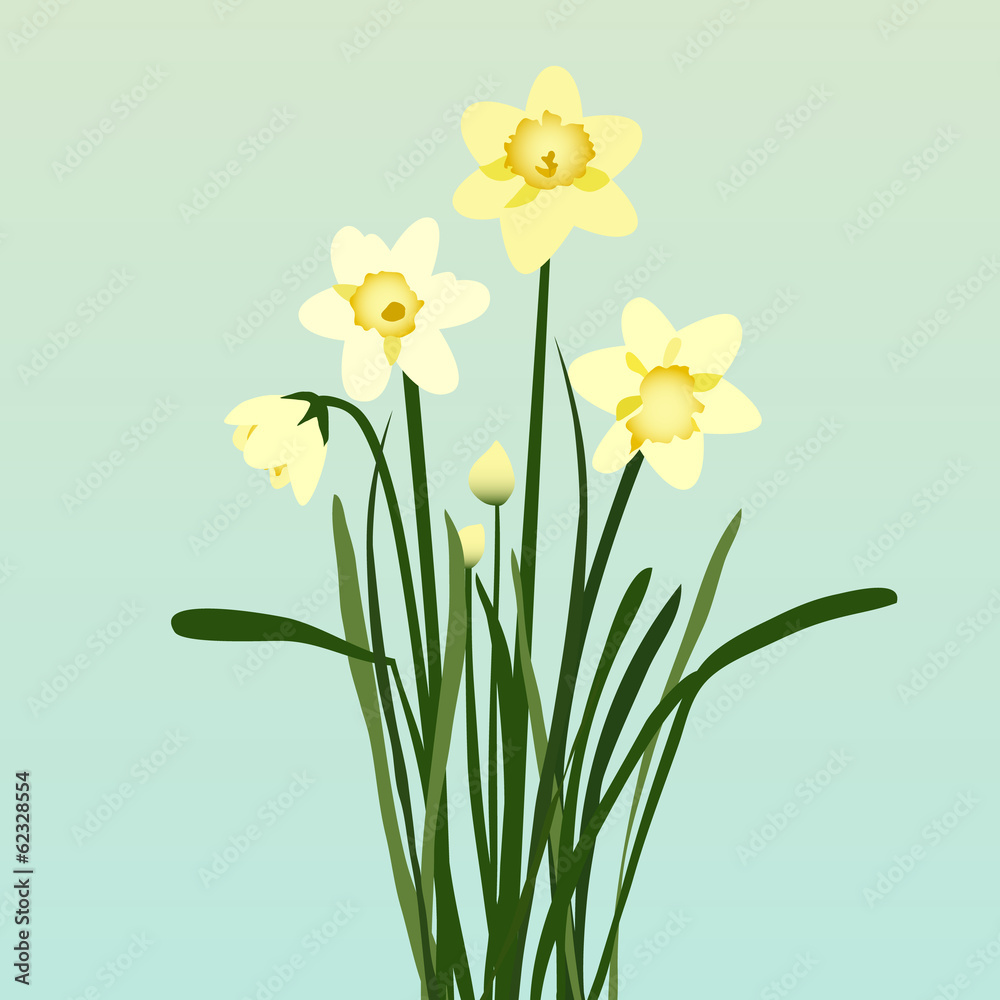 Bright Daffodils Bright Daffodils