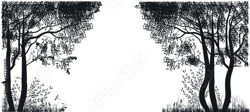 Silhouettes of trees in a forest glade