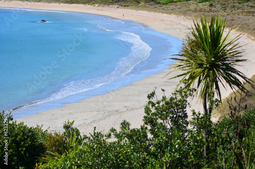 Matai Bay Karikari Peninsula - New Zealand photo