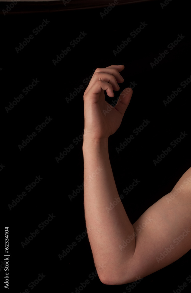 Fototapeta premium Arm