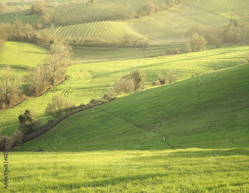 Countryside at sunset