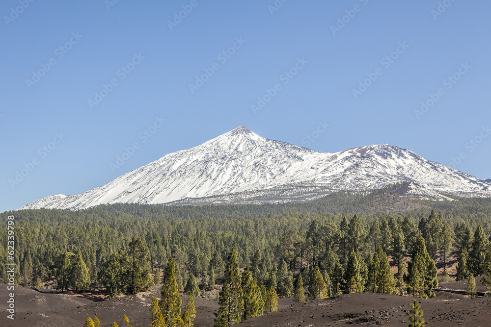 Beautiful scenic view of mount Teide national park in Tenerife, Beautiful scenic view of mount Teide national park in Tenerife,