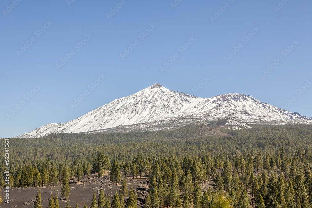 Beautiful scenic view of mount Teide national park in Tenerife,