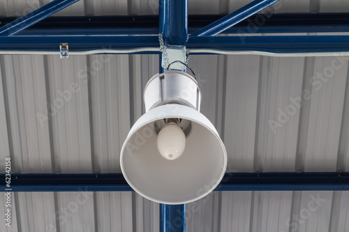 Overhead light