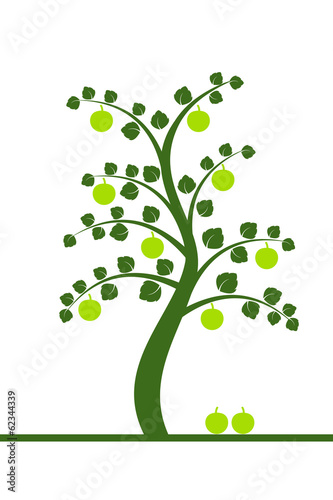 Green apple tree isolated on white 