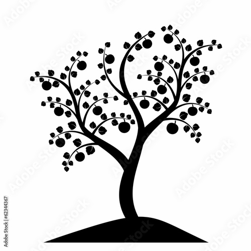 apple tree silhouette