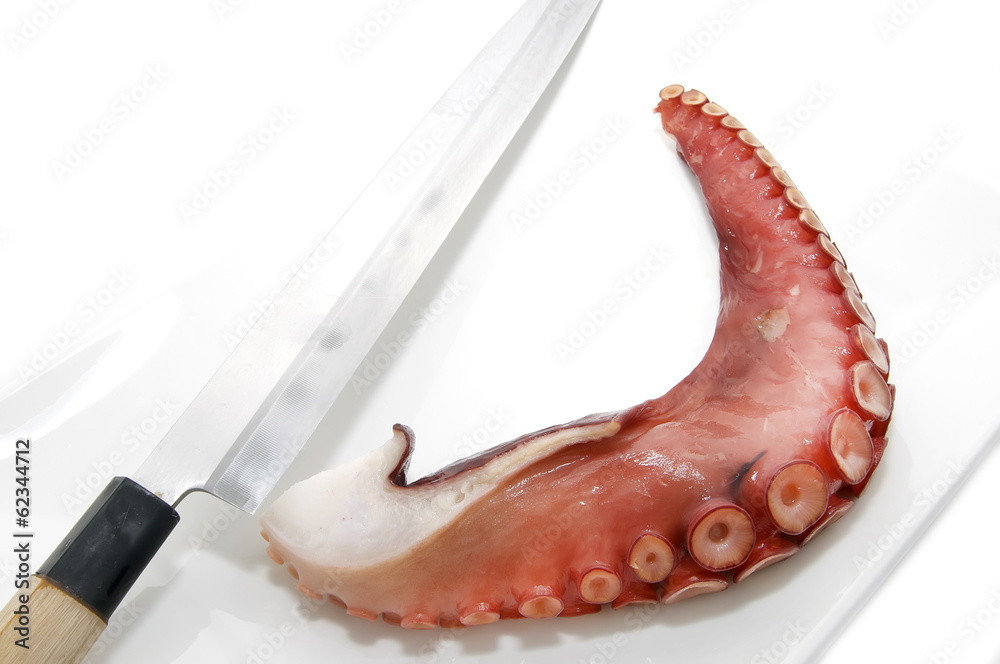 octopus and a knife on a white background octopus and a knife on a white background