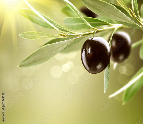 Foto zasłona włochy grecja grecki owoc