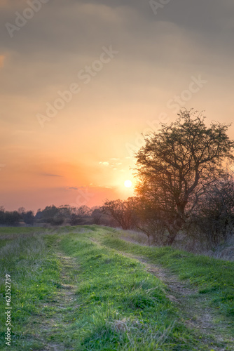 Sunset path