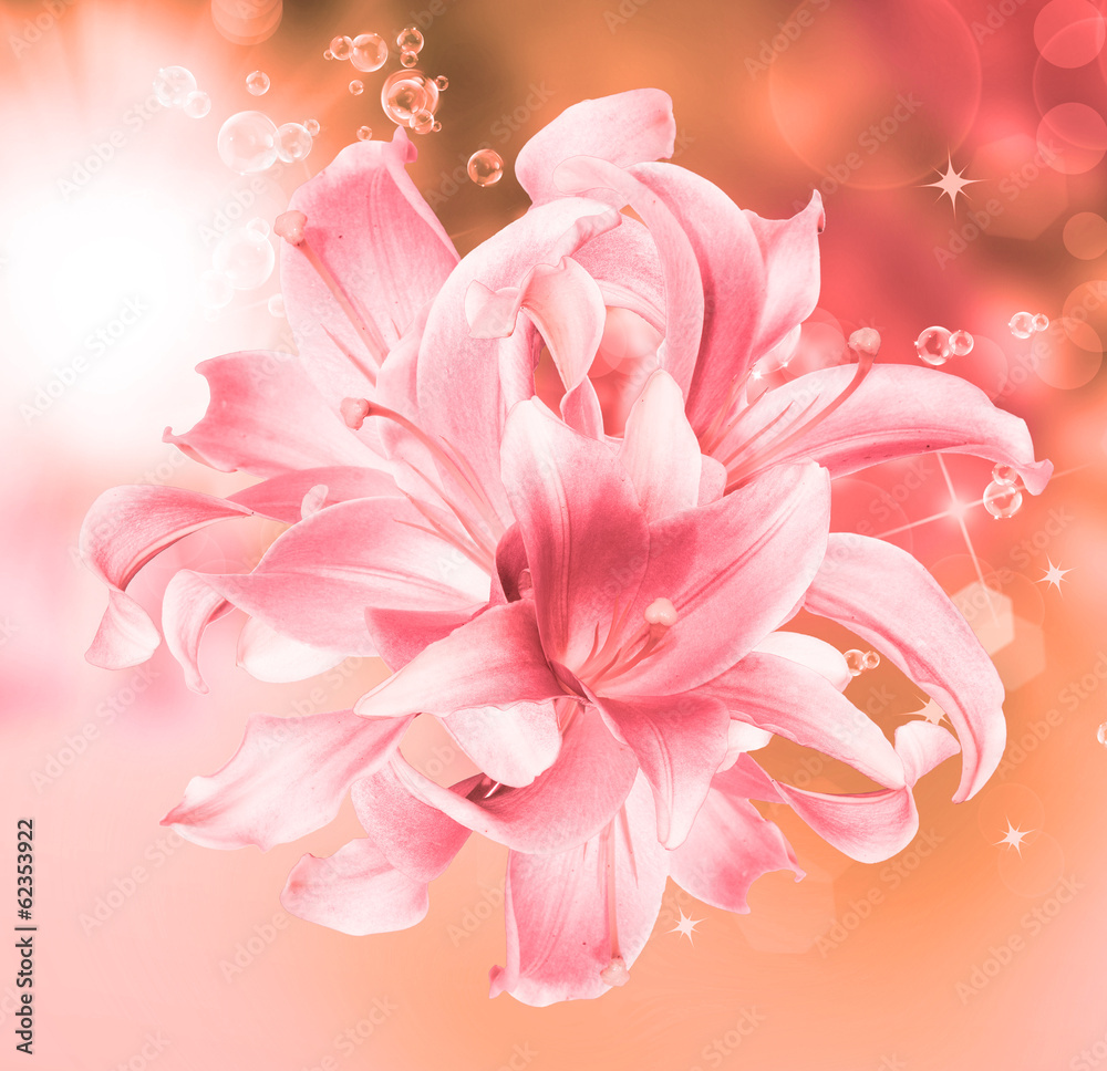 Beautiful Lily Flowers.Spring nature background.Floral card