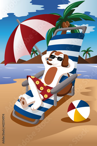 Dog at the beach