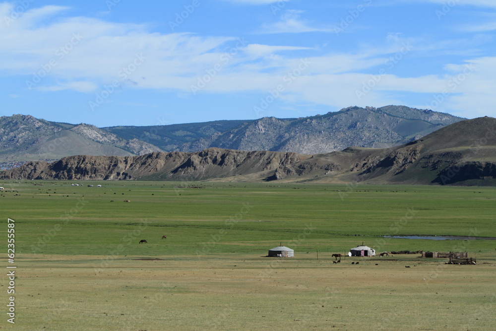 Mongolische Steppe des Khustain Nationalparks Stock Photo | Adobe Stock
