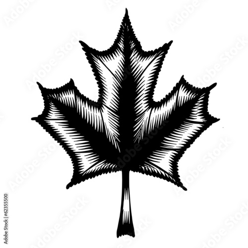 decorative silhouette maple leaf