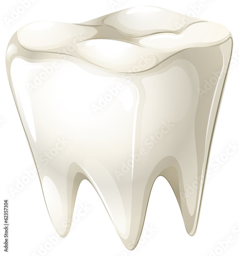A tooth