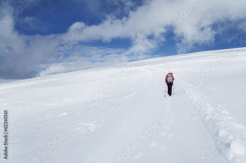 Wandern, Rittner Horn, Winter, Winterwandern, Südtirol