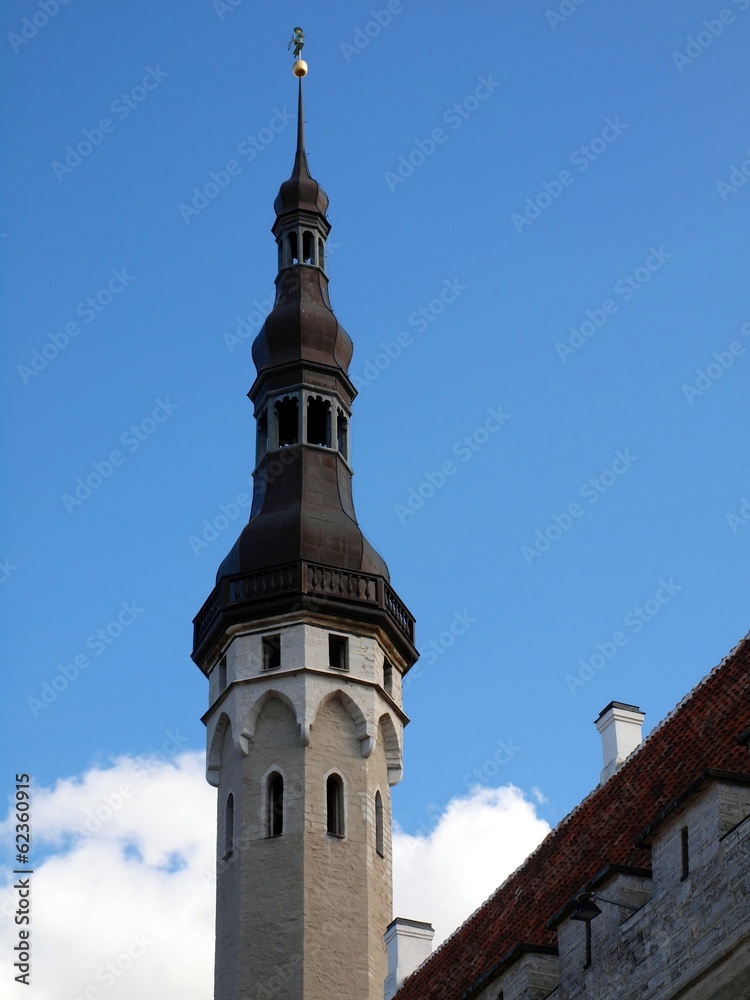 Fragment with tall town hall tower. Old Tallinn