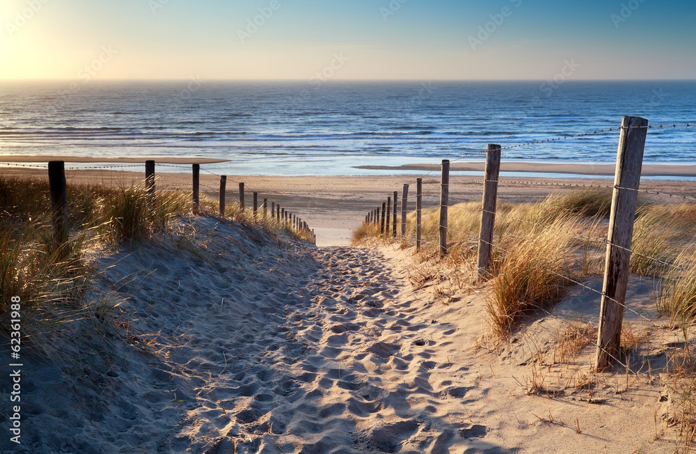 Fototapeta ścieżka do plaży nad Morzem Północnym w złotym słońcu