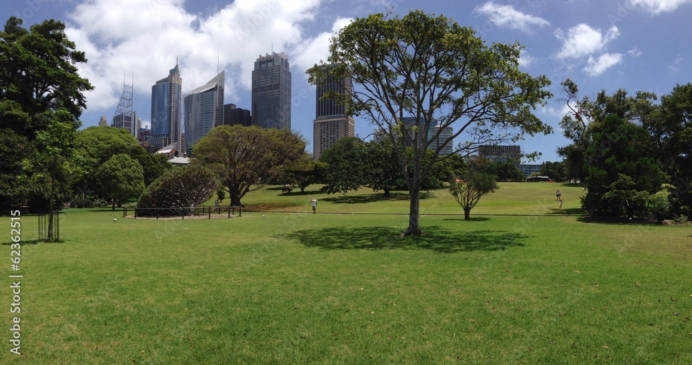 Sydney botanic gardens