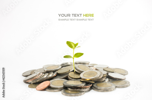 Investment concept