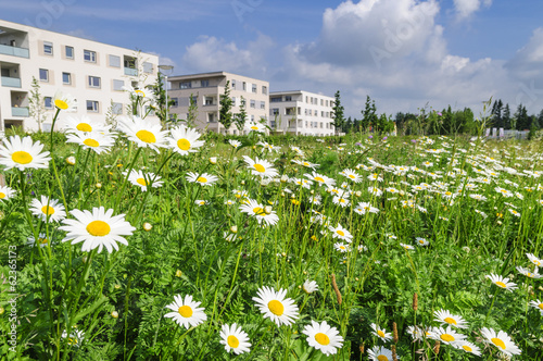 es wird Frühling photo