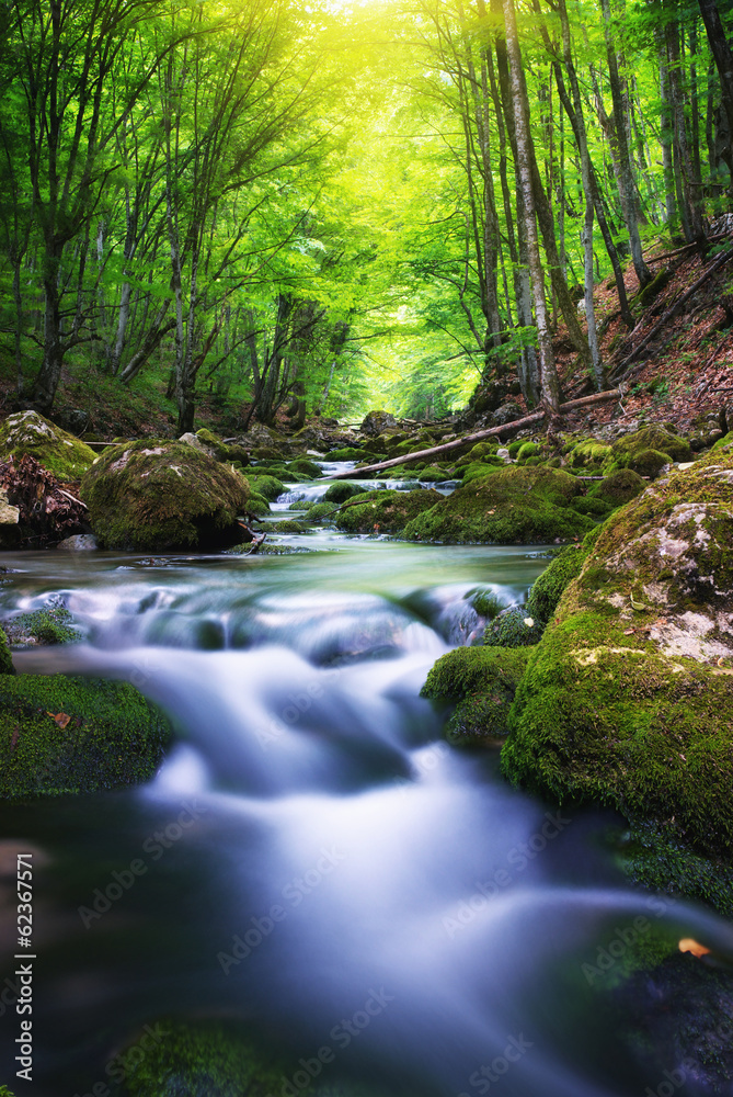 River in mountain forest.