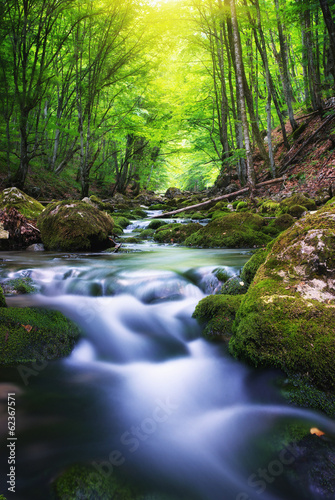 River in mountain forest.