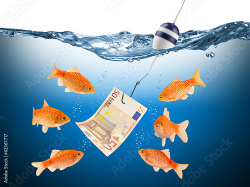 fisch euro teaser concept