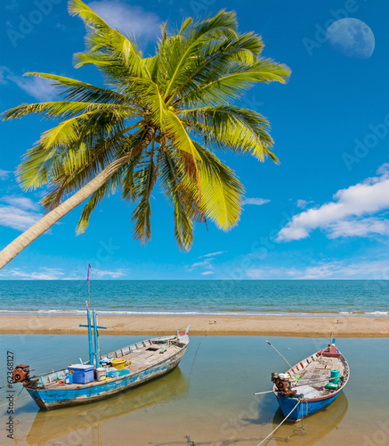 Two boat and coconut tree