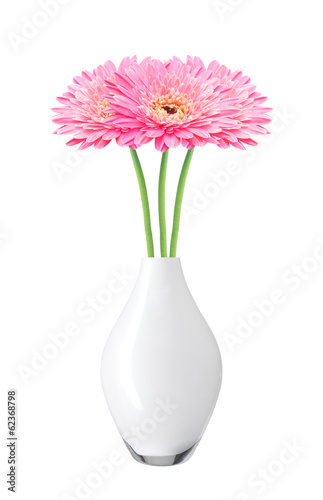 beautiful pink gerbera daisy flowers in vase isolated on white © wolfelarry