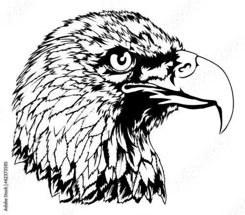 Bald Eagle Head Illustration