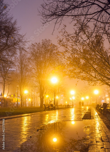 City park at night © beerlogoff