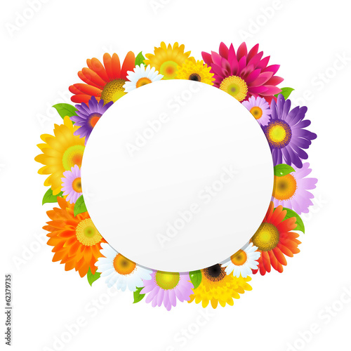 Fototapeta Naklejka Na Ścianę i Meble -  Colorful Gerbers Flower Banner