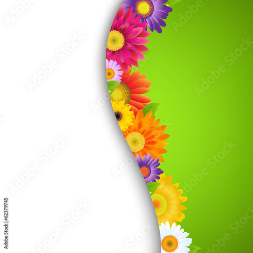 Fototapeta Naklejka Na Ścianę i Meble -  Colorful Gerbers Flower Border