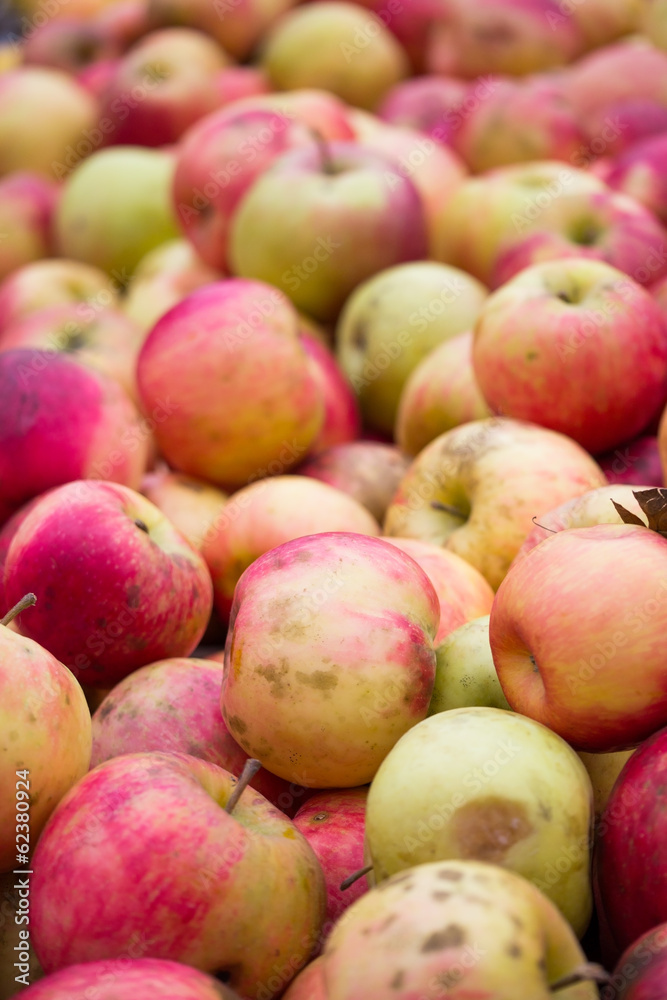 apples apples