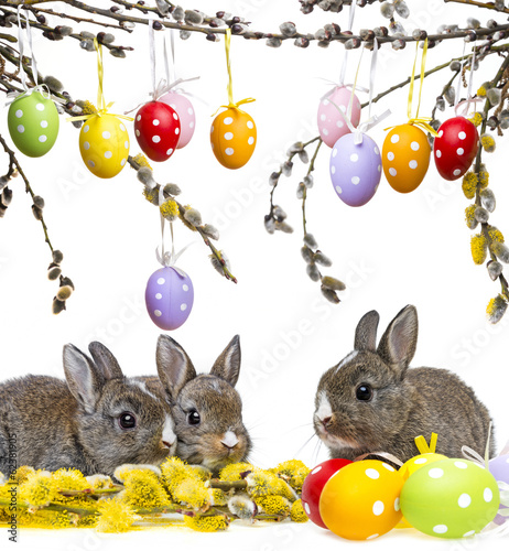 two little rabbits and spring flowering branch © Vera Kuttelvaserova