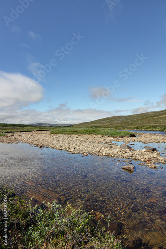 Tundra Landscape