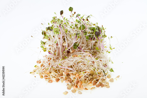The healthy diet. Fresh sprouts isolated on white background