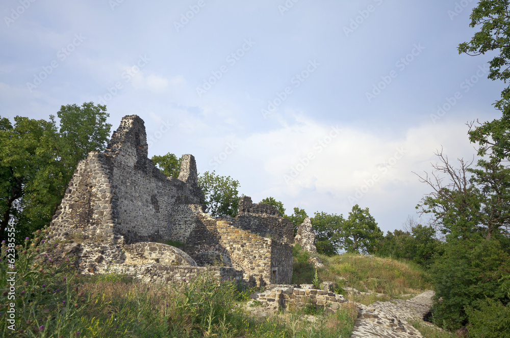 Ruins of Tatika castle, slant