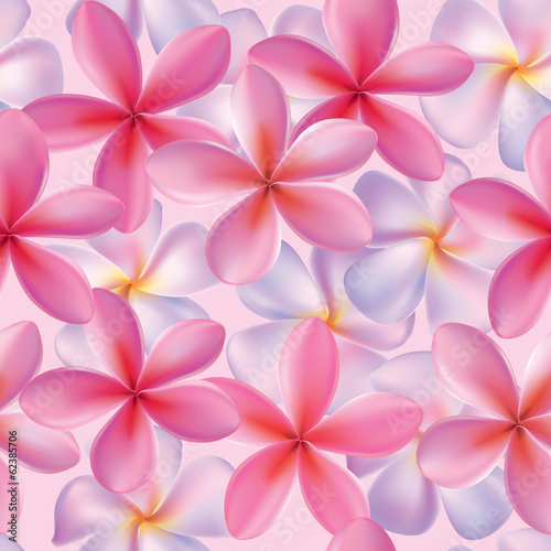 Seamless pattern plumeria