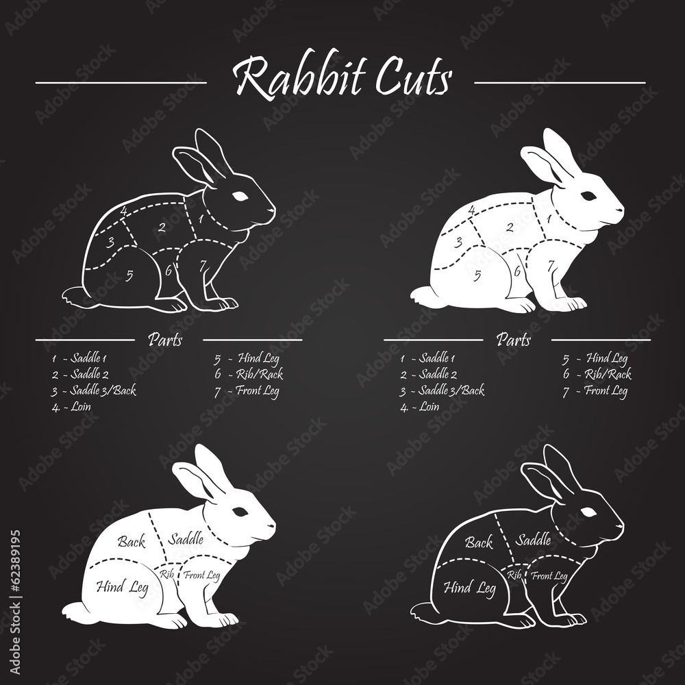 Naklejka premium RABBIT meat cuts scheme - chalkboard