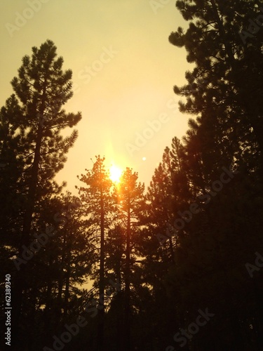 Fototapeta Naklejka Na Ścianę i Meble -  Sun shining through smoky skies during a forest fire.